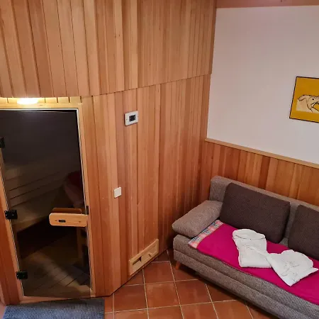 Altstadtjuwel Mit Sauna Apartment Sankt Veit an der Glan